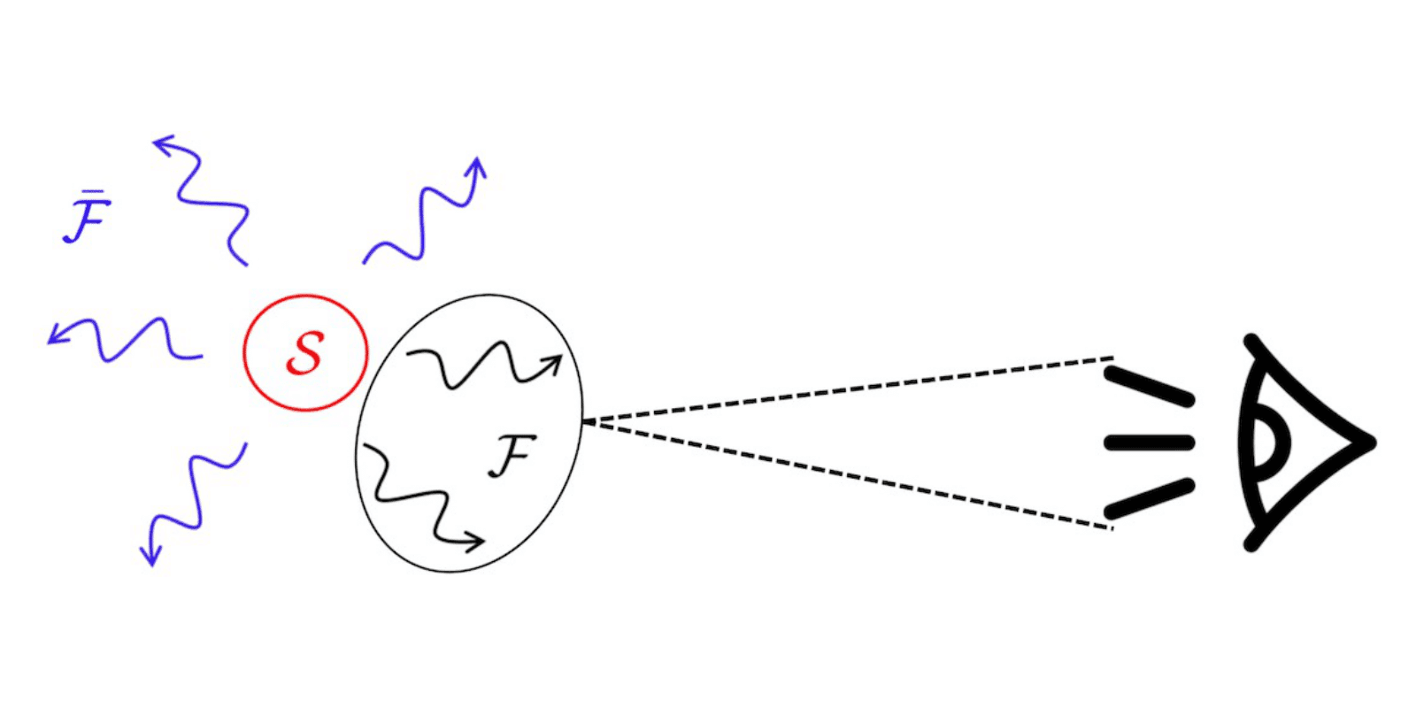 Illustration of a geometric quantum state branching